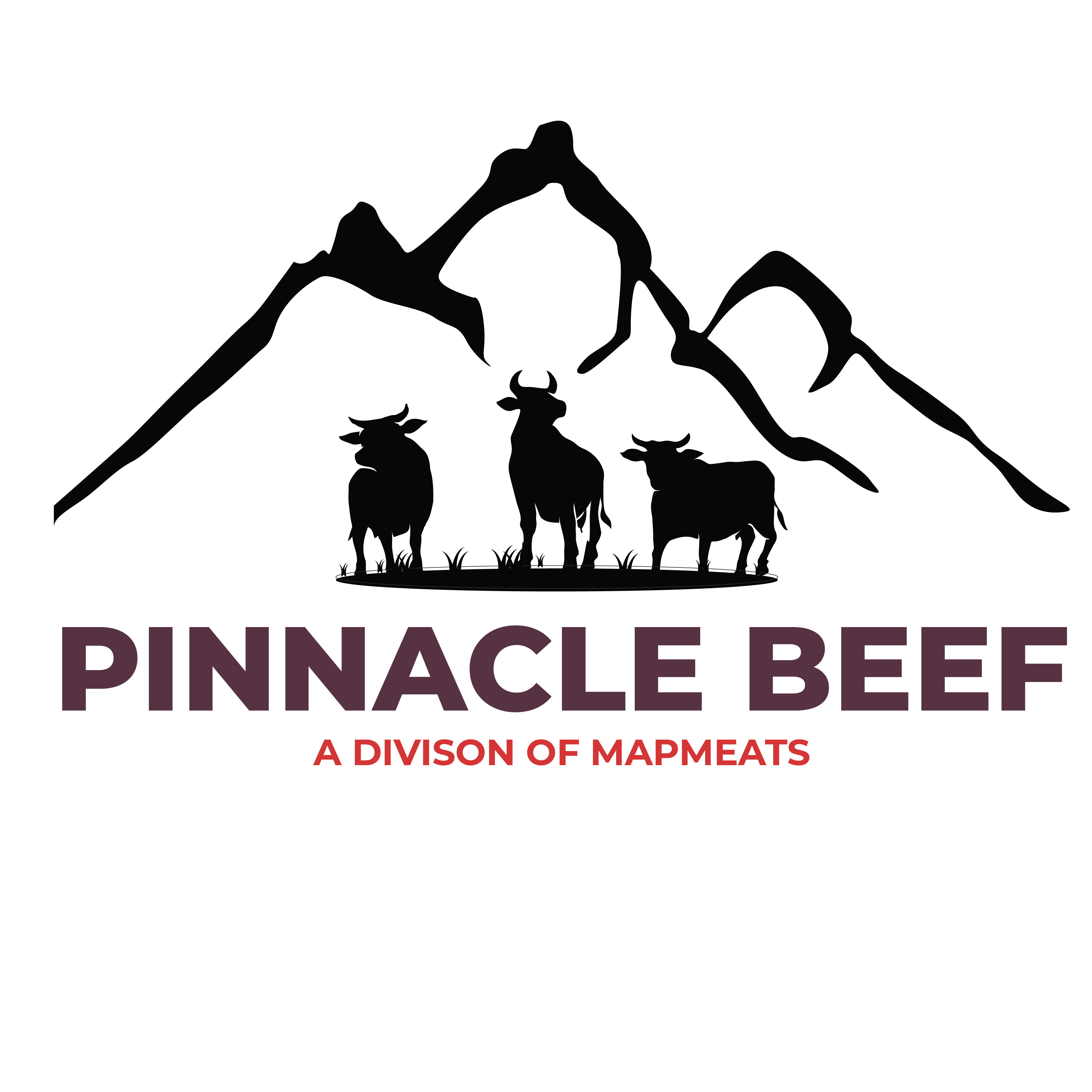 Pinnacle Beef Logo